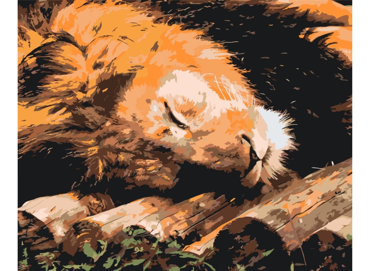 MALUJEŠ Malování podle čísel - OBRAZY OD ELISE - LEV Rozměr: 30x40 cm, Rámování: vypnuté plátno na rám