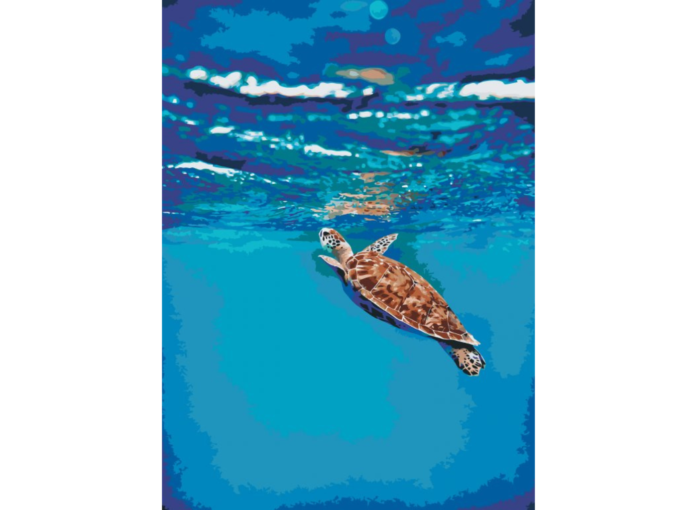 MALUJEŠ Malování podle čísel - ŽELVA V MOŘI Rozměr: 40x50 cm, Rámování: bez rámu a bez vypnutí plátna