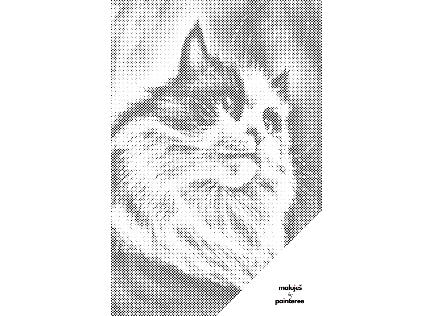 MALUJEŠ Tečkování - AGNIESZKA MLECZEK - TŘÍBAREVNÁ KOČKA Barva: Zelená, Rozměr: 60x80 cm, Rámování: bez rámu a bez vypnutí plátna