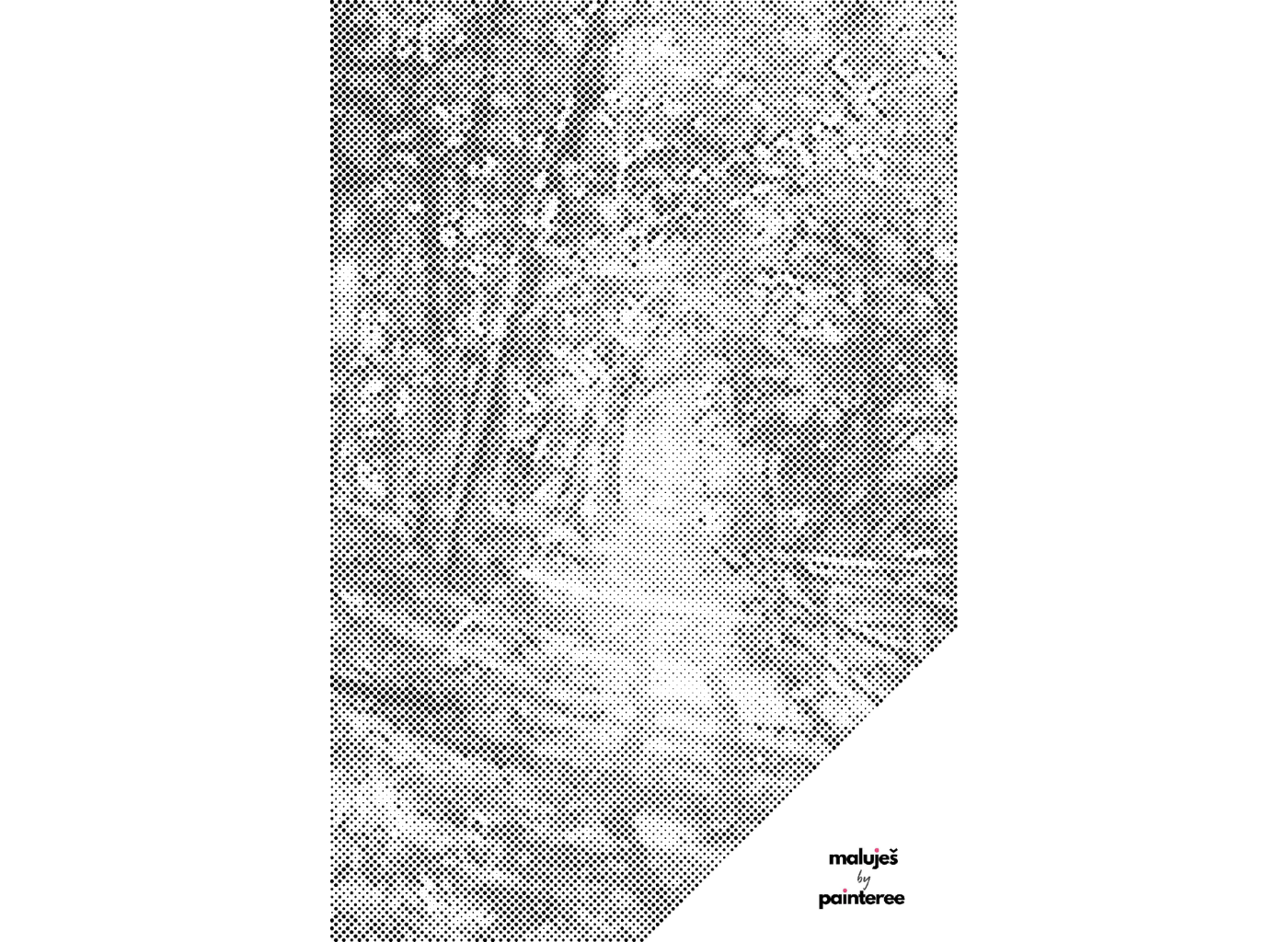 MALUJEŠ Tečkování - LESNÍ CESTOU PROZÁŘENOU SLUNCEM Barva: Zelená, Rozměr: 80x120 cm, Rámování: vypnuté plátno na rám