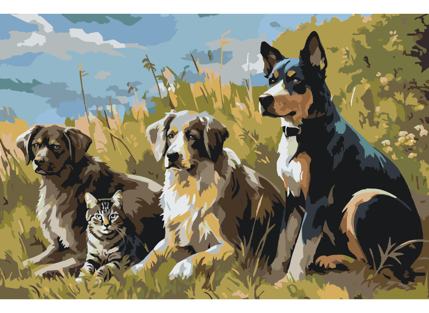MALUJEŠ Malování podle čísel - SMEČKA PSŮ S KOČIČKOU V PŘÍRODĚ Rozměr: 40x60 cm, Rámování: bez rámu a bez vypnutí plátna