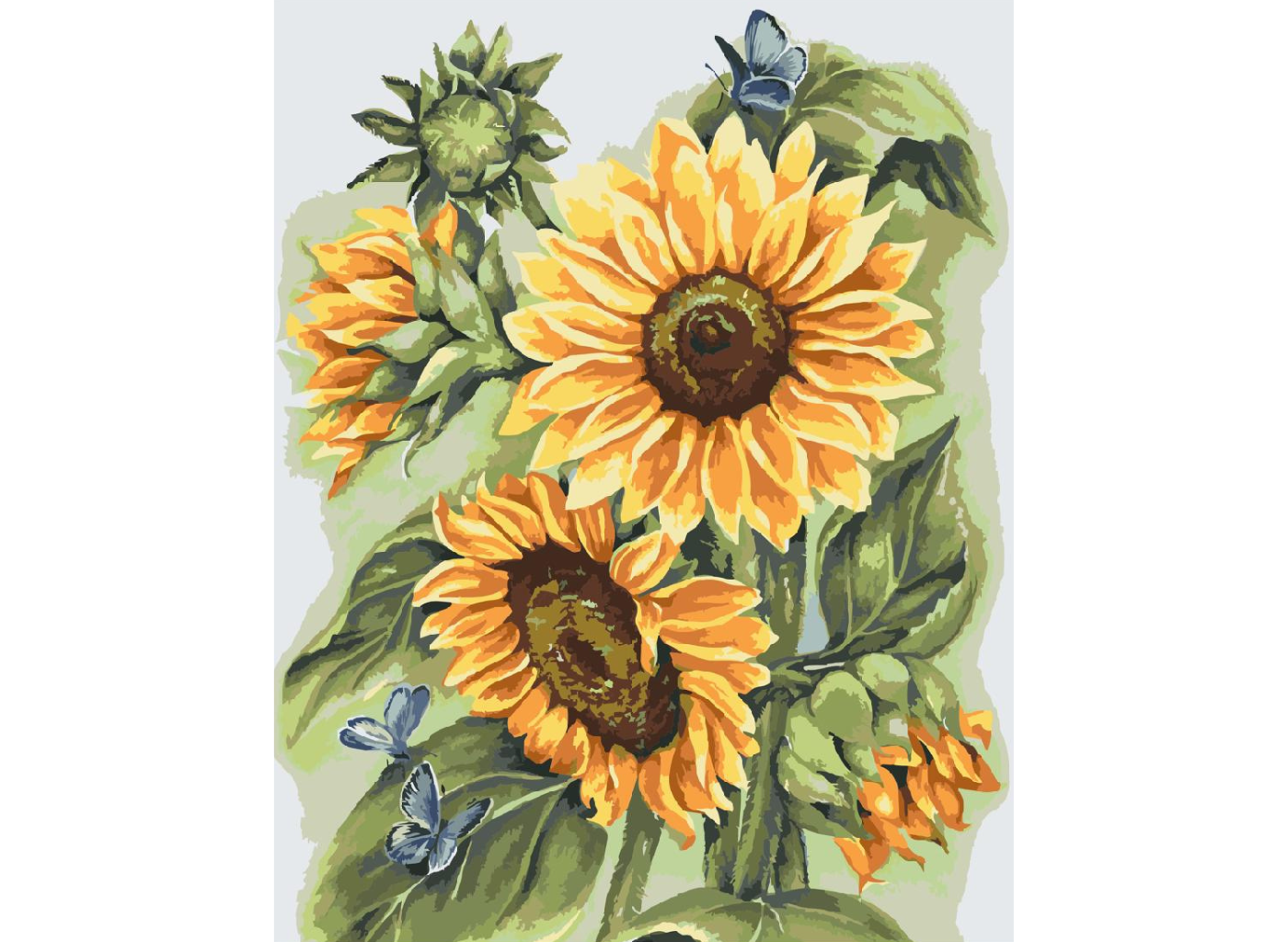 MALUJEŠ Malování podle čísel - ANNA´S ART - SLUNEČNICE S MOTÝLKY Rozměr: 40x60 cm, Rámování: bez rámu a bez vypnutí plátna