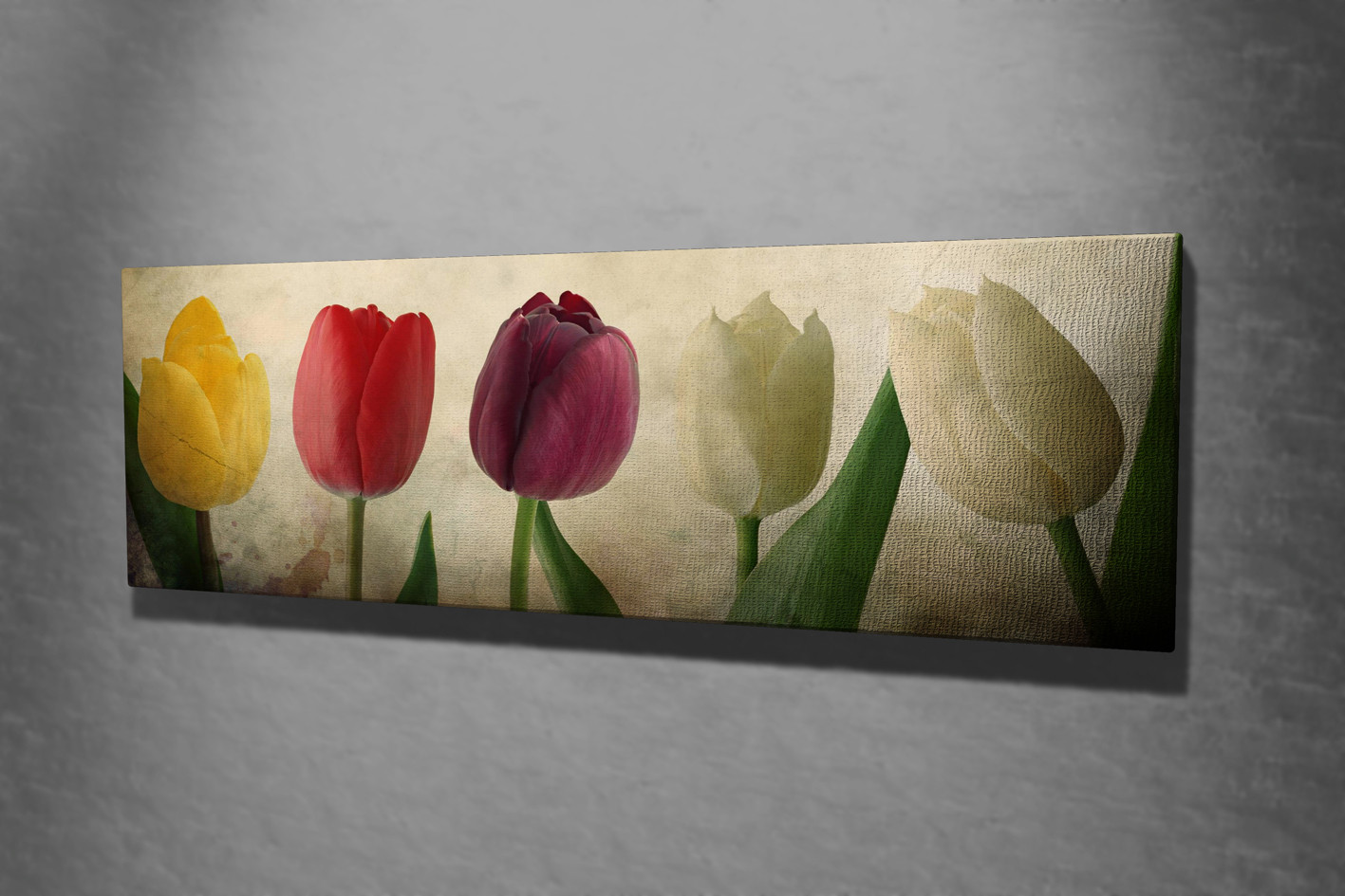 ASIR Dekorativní obraz na plátně TULIPÁNY 30x80 cm