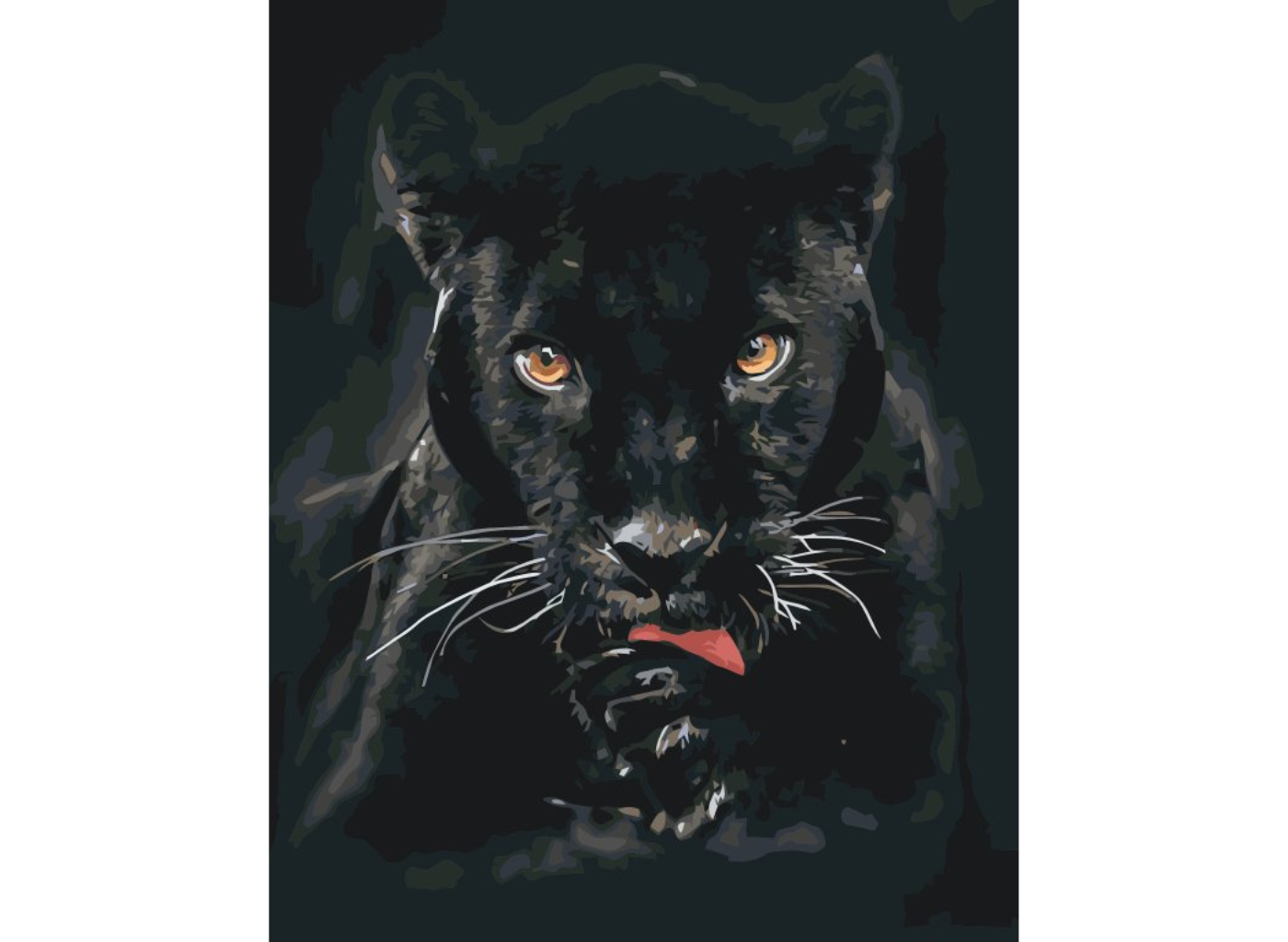 MALUJEŠ Malování podle čísel - ČERNÁ PUMA Rozměr: 30x40 cm, Rámování: bez rámu a bez vypnutí plátna