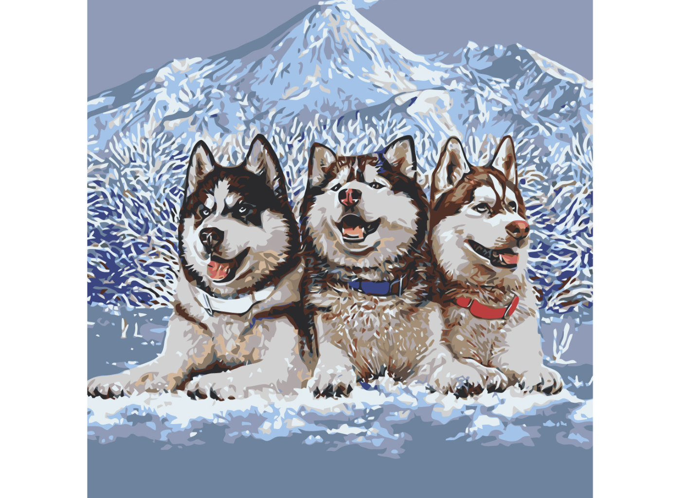 MALUJEŠ Malování podle čísel - TROJICE HUSKY Rozměr: 50x50 cm, Rámování: vypnuté plátno na rám