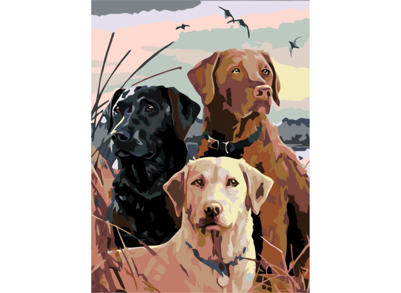 MALUJEŠ Malování podle čísel - LABRADOŘI Rozměr: 60x80 cm, Rámování: vypnuté plátno na rám