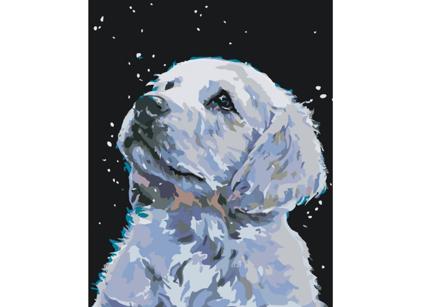 MALUJEŠ Malování podle čísel - BÍLÉ ŠTĚŇÁTKO Rozměr: 40x50 cm, Rámování: bez rámu a bez vypnutí plátna