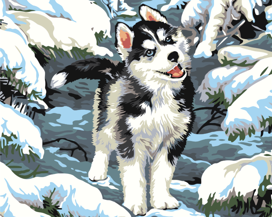 MALUJEŠ Malování podle čísel - MALÝ HUSKY Rozměr: 30x40 cm, Rámování: bez rámu a bez vypnutí plátna