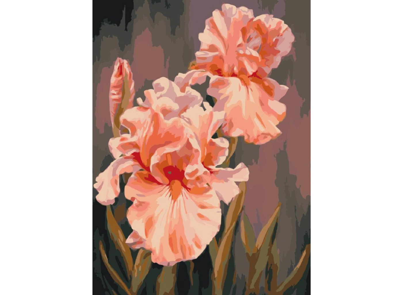 MALUJEŠ Malování podle čísel - RŮŽOVÉ KOSATCE Rozměr: 30 x 40 cm, Rámování: bez rámu a bez vypnutí plátna