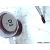 Malování podle čísel - ŘÍJNOVÝ STROM
