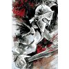 Malování podle čísel - RYTÍŘ V BOJI (Rozměr 60x80 cm, Rámování vypnuté plátno na rám)