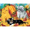 Malování podle čísel - PODZIM S KOŤATY (Rozměr 80x100 cm, Rámování vypnuté plátno na rám)
