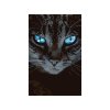 Malování podle čísel - MODROOKÁ KOČKA VE TMĚ