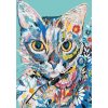 Malování podle čísel - KVĚTINOVÁ KOČIČKA (Rozměr 60x80 cm, Rámování vypnuté plátno na rám)