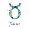 Malování podle čísel - TAURUS