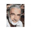 Malování podle čísel - SEAN CONNERY