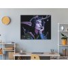 Malování podle čísel - NIGHT ELF