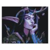 Malování podle čísel - NIGHT ELF