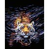 Malování podle čísel - TYGR VE VODĚ II