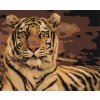 Malování podle čísel - POHLED TYGRA II (Rozměr 60x80 cm, Rámování vypnuté plátno na rám)