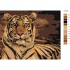 Malování podle čísel - POHLED TYGRA II (Rozměr 60x80 cm, Rámování vypnuté plátno na rám)