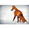 Malování podle čísel - LIŠKA ZE SEVERU (Rozměr 60x80 cm, Rámování vypnuté plátno na rám)
