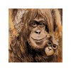 Malování podle čísel - OBRAZY OD LENKY - ORANGUTANI