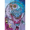 Malování podle čísel - SOVA S LAPAČEM SNŮ