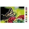 Malování podle čísel - MOTÝL NA KVĚTINĚ (Rozměr 60x80 cm, Rámování vypnuté plátno na rám)