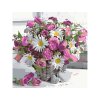 Malování podle čísel - MARIANNA LOKSHINA - KOPRETINY A RŮŽE