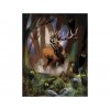 Malování podle čísel - AGNIESZKA MLECZEK - JELEN A LESNÍ DUCHOVÉ