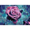 Malování podle čísel - NÁDHERNÁ RŮŽE by LOUISE ART