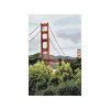 Malování podle čísel - SAN FRANCISCO - GOLDEN GATE BRIDGE