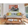 Malování podle čísel - KOLJA - HARLEY-DAVIDSON SOFTAIL SLIM