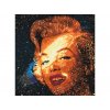 Malování podle čísel - JOSHUA DAIL - MARILYN MONROE V ZÁŘI REFLEKTORU