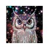 Malování podle čísel - JOSHUA DAIL - TŘPYTÍCÍ SE SOVA