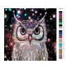 Malování podle čísel - JOSHUA DAIL - TŘPYTÍCÍ SE SOVA