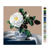 Malování podle čísel - PIETER WAGEMANS - BÍLÁ ZÁMECKÁ RŮŽE