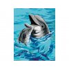 Malování podle čísel - DELFÍN S MLÁDĚTEM