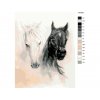 Malování podle čísel - PORTRÉT BÍLÉHO A ČERNÉHO KONĚ