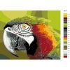 Malování podle čísel - JASNÉ OKO PAPOUŠKA
