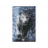 Malování podle čísel - AGNIESZKA MLECZEK - MAJESTÁTNÍ BÍLÝ TYGR