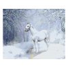 Malování podle čísel - AGNIESZKA MLECZEK - BÍLÝ KŮŇ V ZASNĚŽENÉ KRAJINĚ