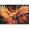 Malování podle čísel - OHNIVÝ OREL