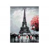 Malování podle čísel - EIFFELOVKA S ČERVENÝM STROMEM