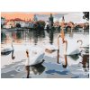 Malování podle čísel - LABUTĚ NA VLTAVĚ