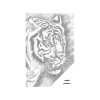 Tečkování - AGNIESZKA MLECZEK - HLADOVÝ POHLED TYGRA
