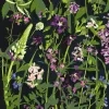 61769 3 painting by numbers yerr od yerr 0063 m11