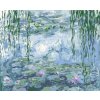Malování podle čísel - LEKNÍNY (C.MONET) (Rozměr 60x80 cm, Rámování bez rámu a bez vypnutí plátna)