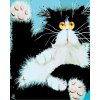 Malování podle čísel - OKATÝ ČERNOBÍLÝ KOCOUR (Rozměr 60x80 cm, Rámování bez rámu a bez vypnutí plátna)